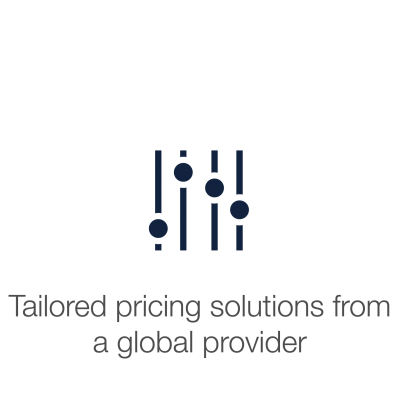 Slider console with text displaying "Tailored pricing solutions from a global provider". 
